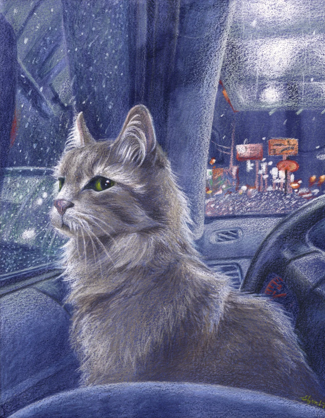 Cat in Car