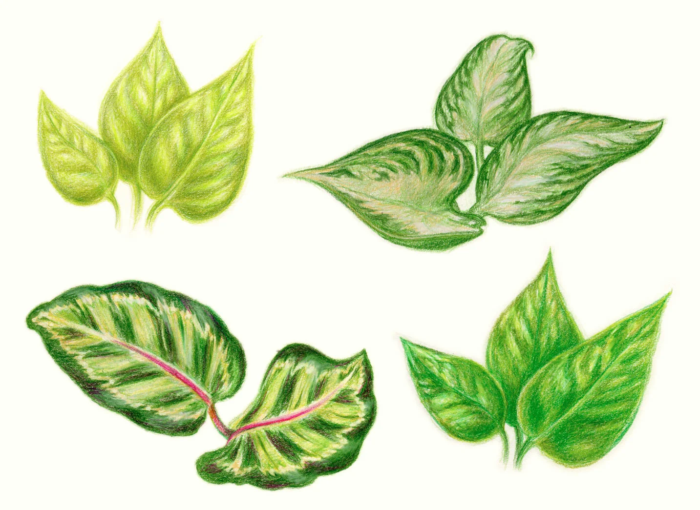 Leaves, 1