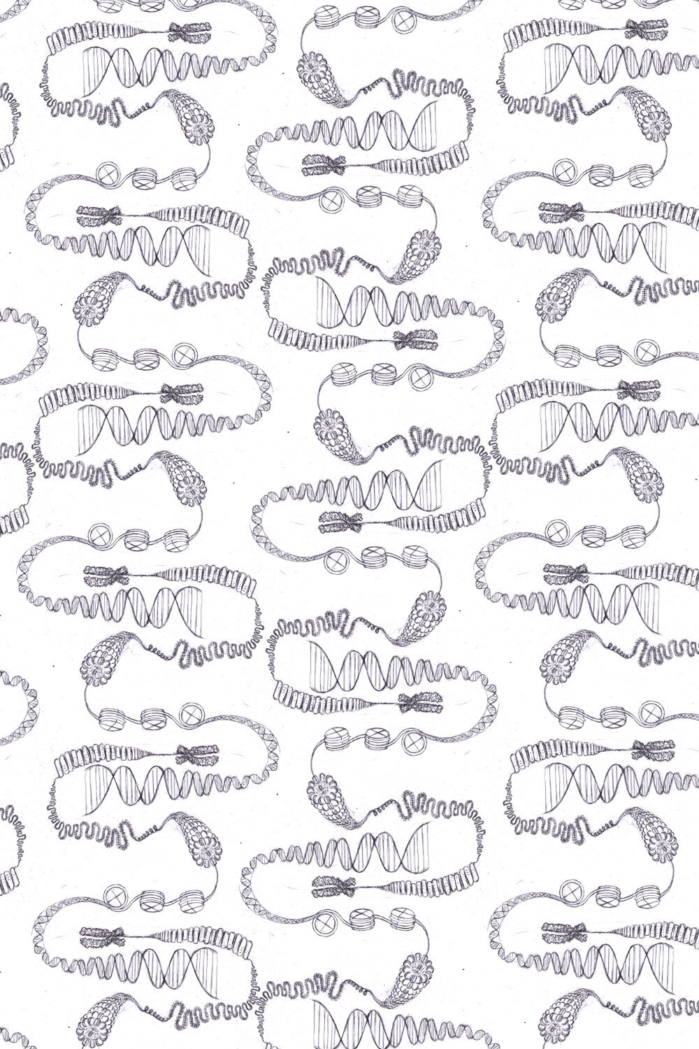 2000x3000px_pattern.jpg