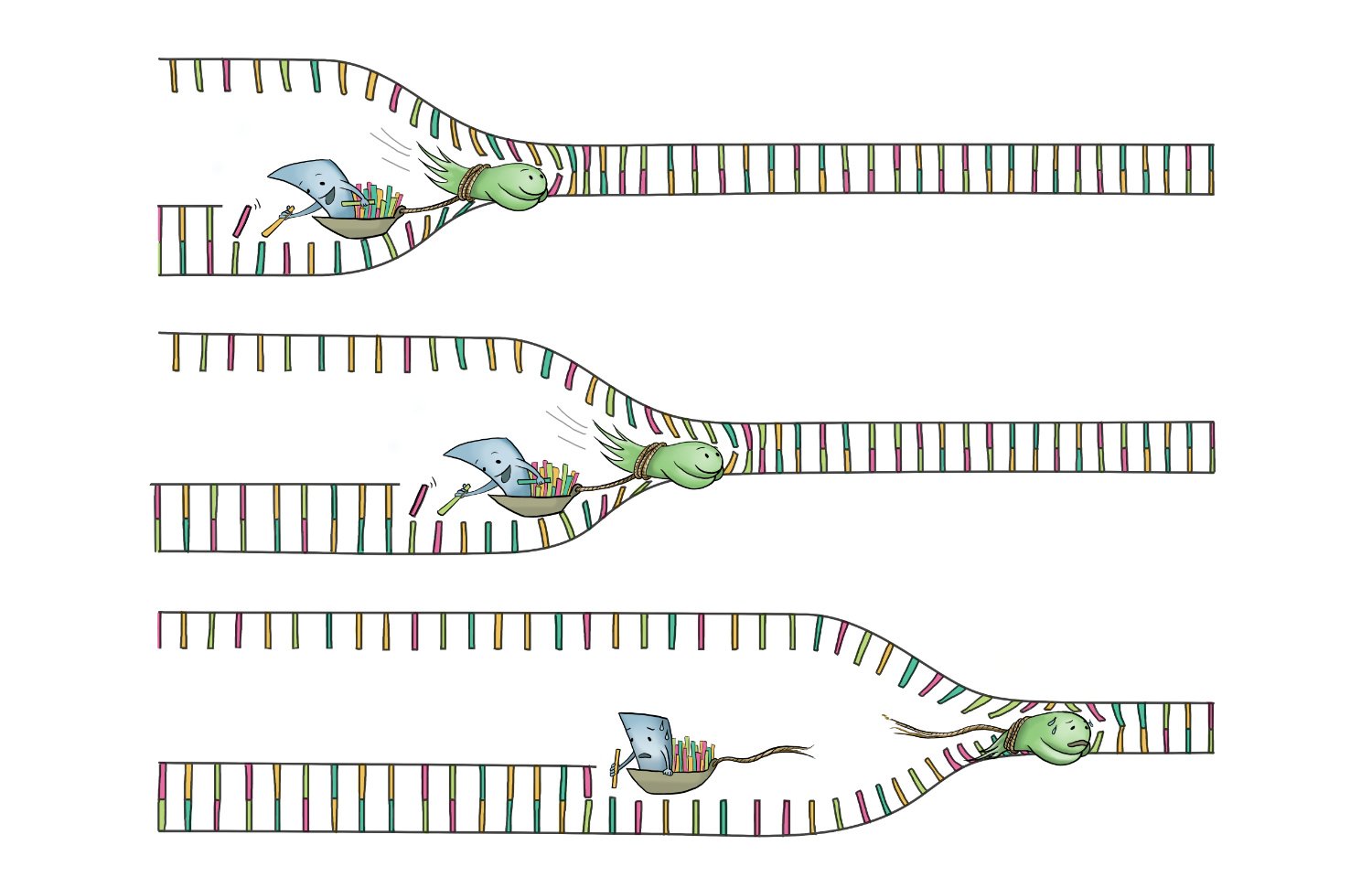 DNA Illustration