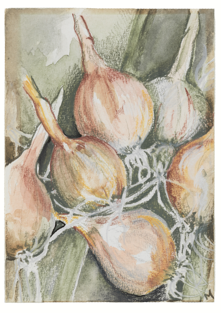 Onions website size jpeg.jpeg