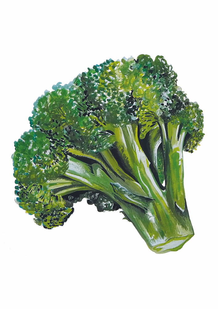 Broccoli 1000.jpeg