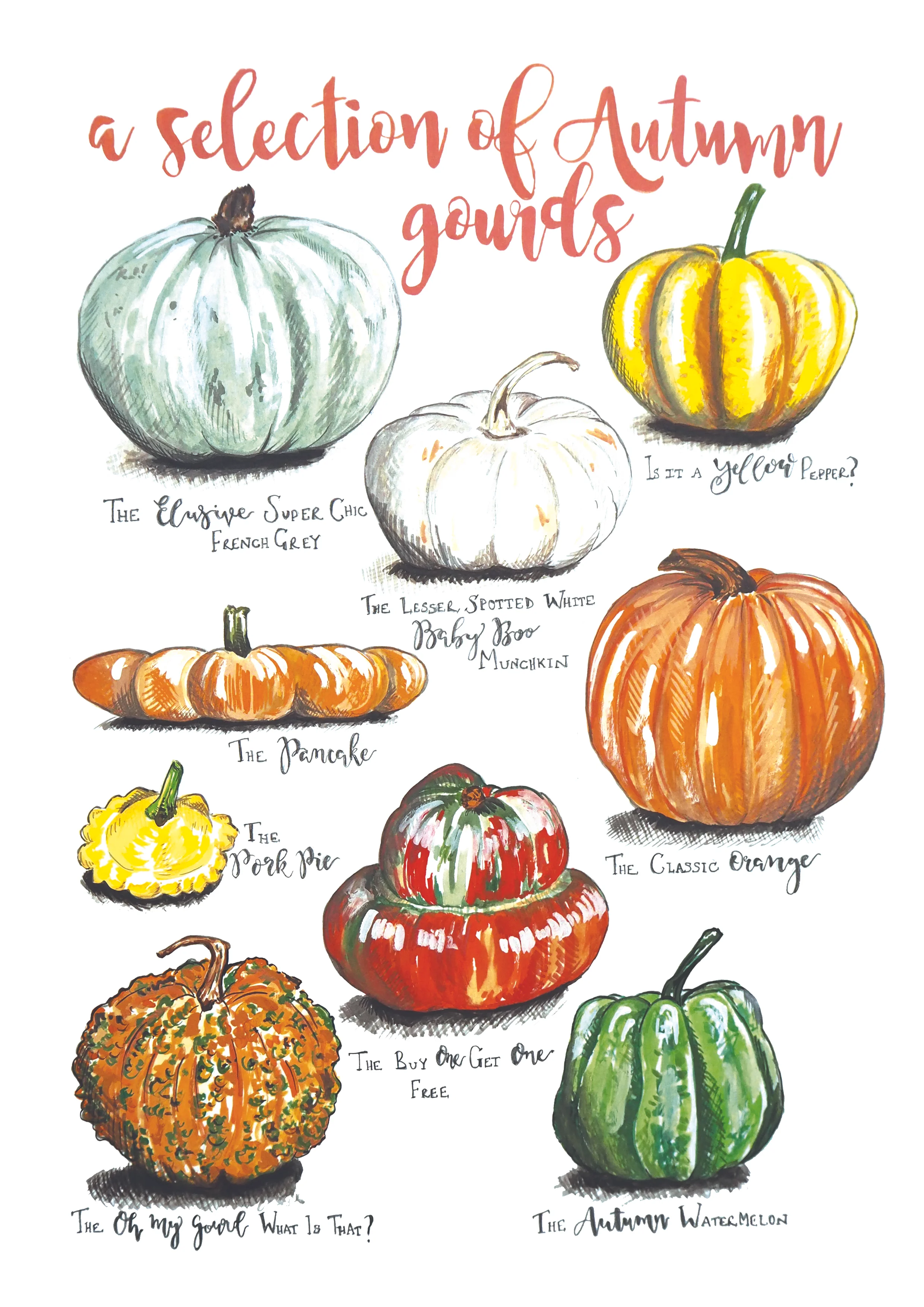 Autumn Gourds A4 1000.jpeg