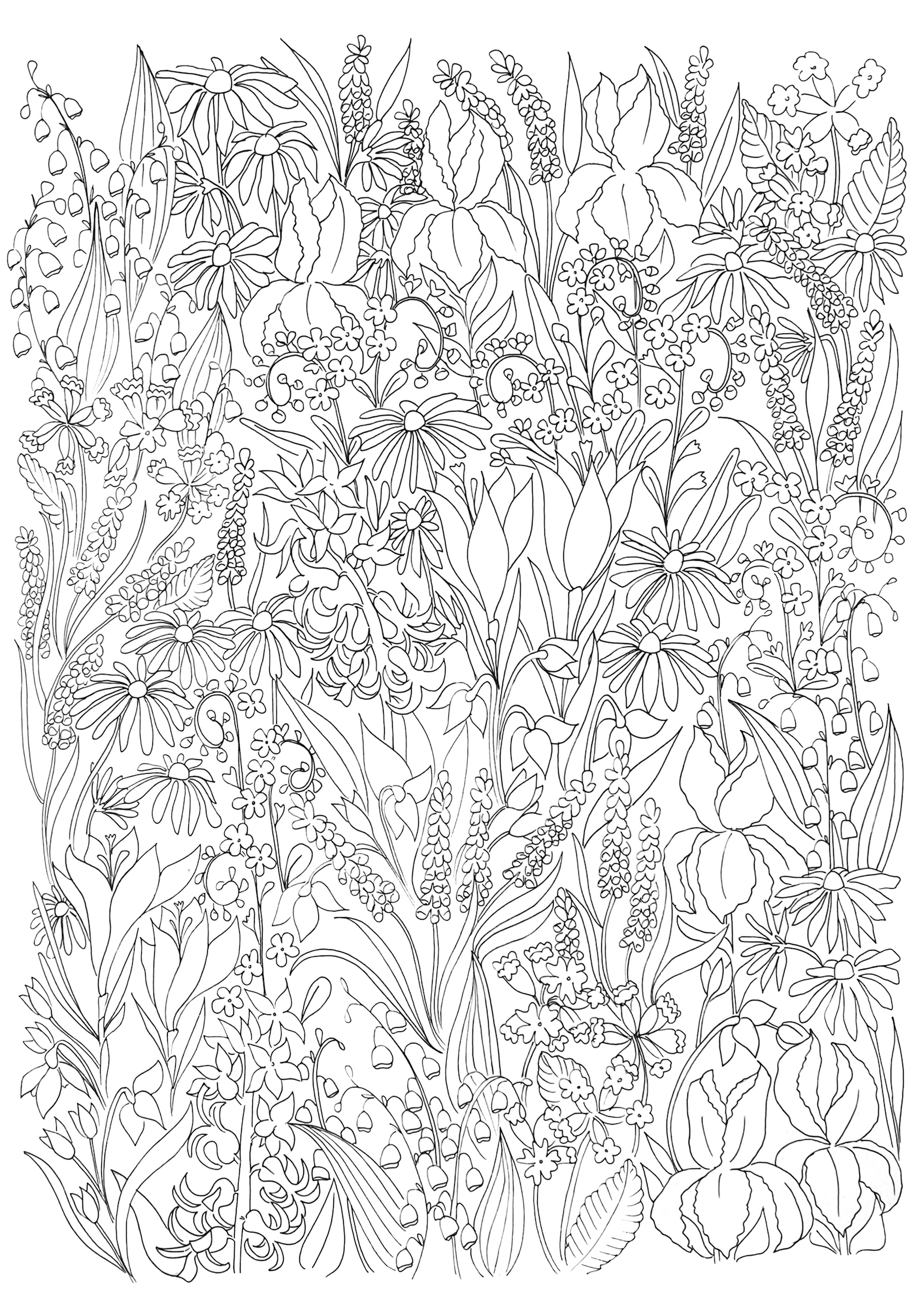Spring flowers black and white .jpg