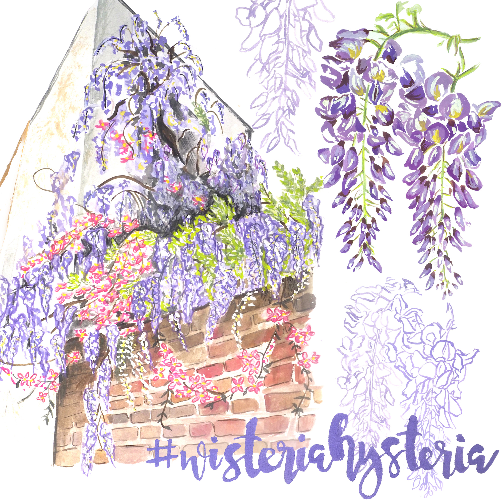 Wisteria Hysteria 2000.jpeg