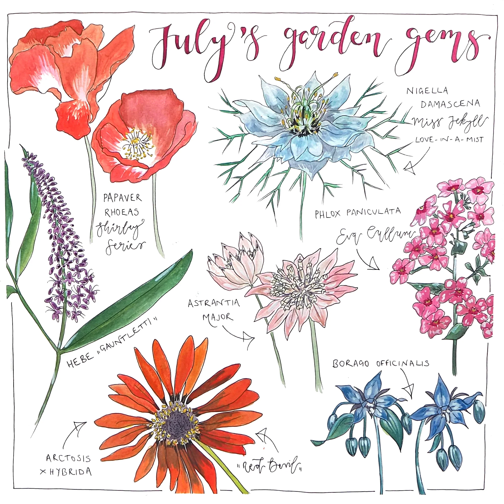 July's garden gems.jpg
