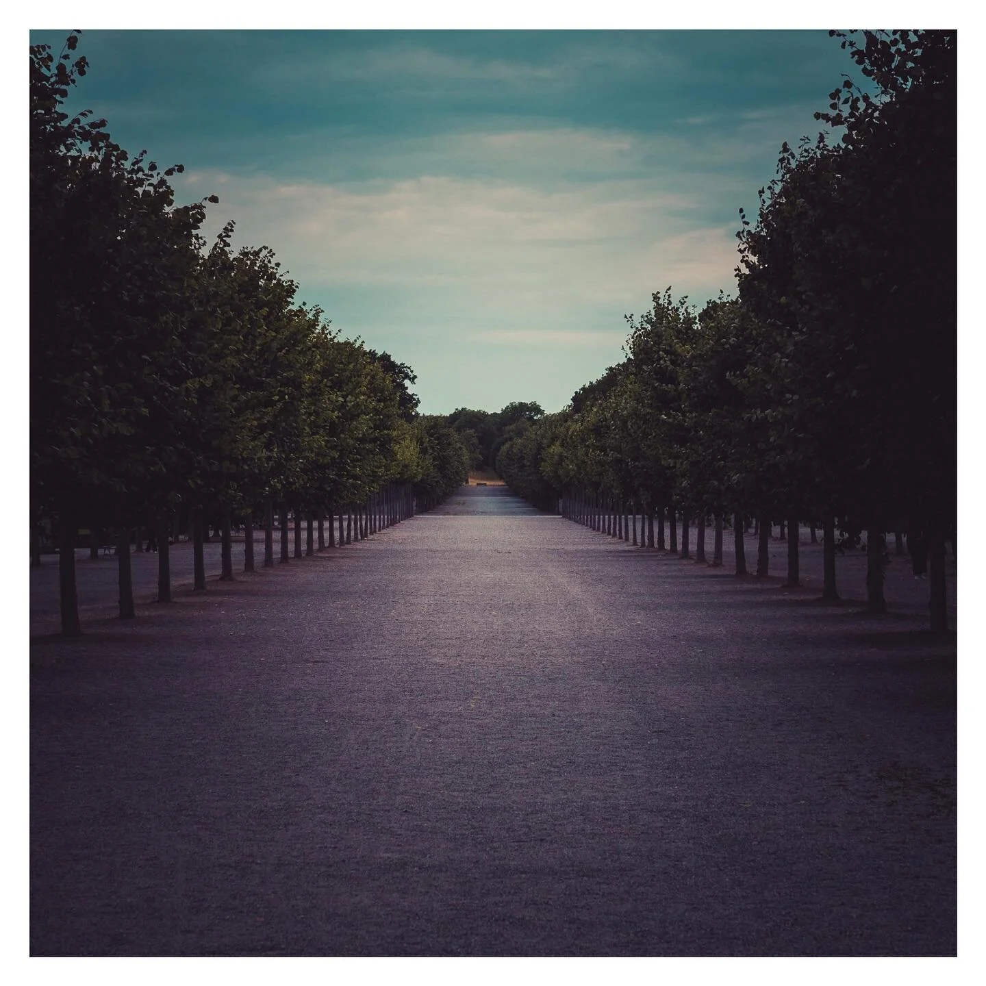 #drottningholm #stockholm #fujifilm_xseries #fujifilmnordic #xt4 #fujinon56mm