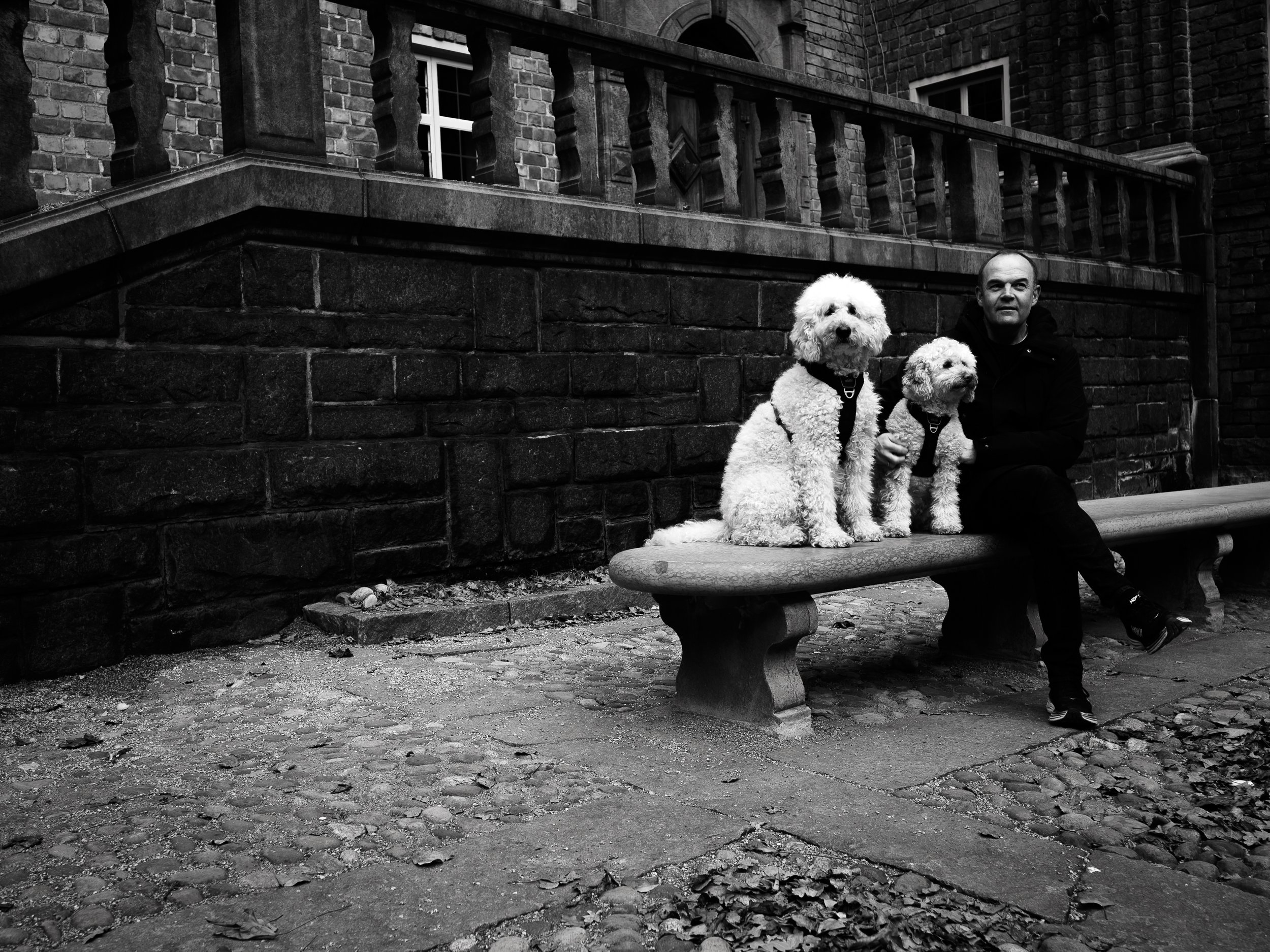 A man sitting on a park bench with three large poodles, against a brick building background in black and white.