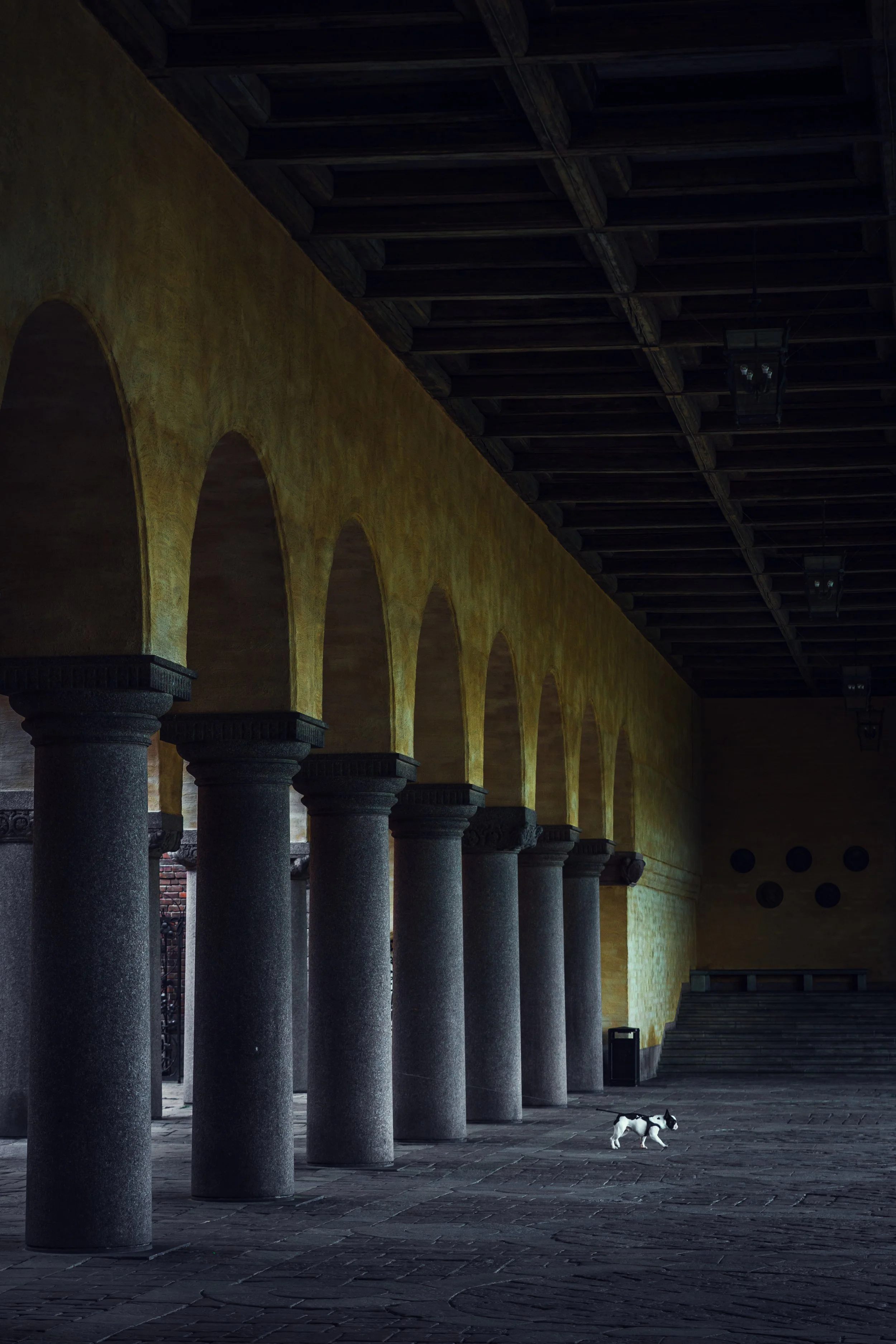An archway corridor with yellow walls and dark wooden ceiling, supported by stone columns, with a small black and white dog walking on the floor.
