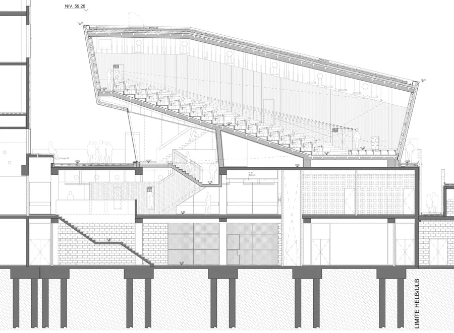 Focus-archi-magazine-architecture-Coupe-MM.jpg