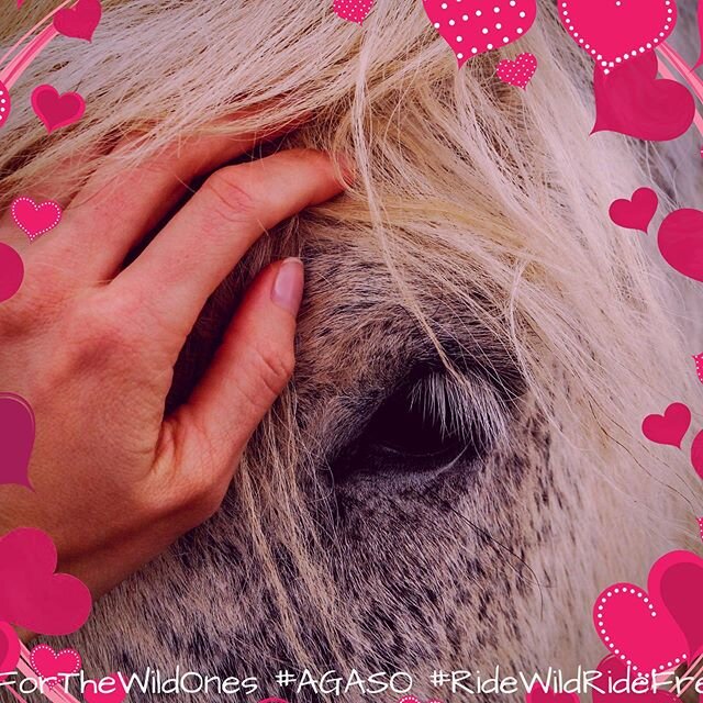Happy Valentine&rsquo;s Day to all the wild ones. We hope you got to spend it with your loved ones.  #AgasoEquestrian #Agaso #RideWildRideFree #ForTheWildOnes #Horse #Valentines #horseriding