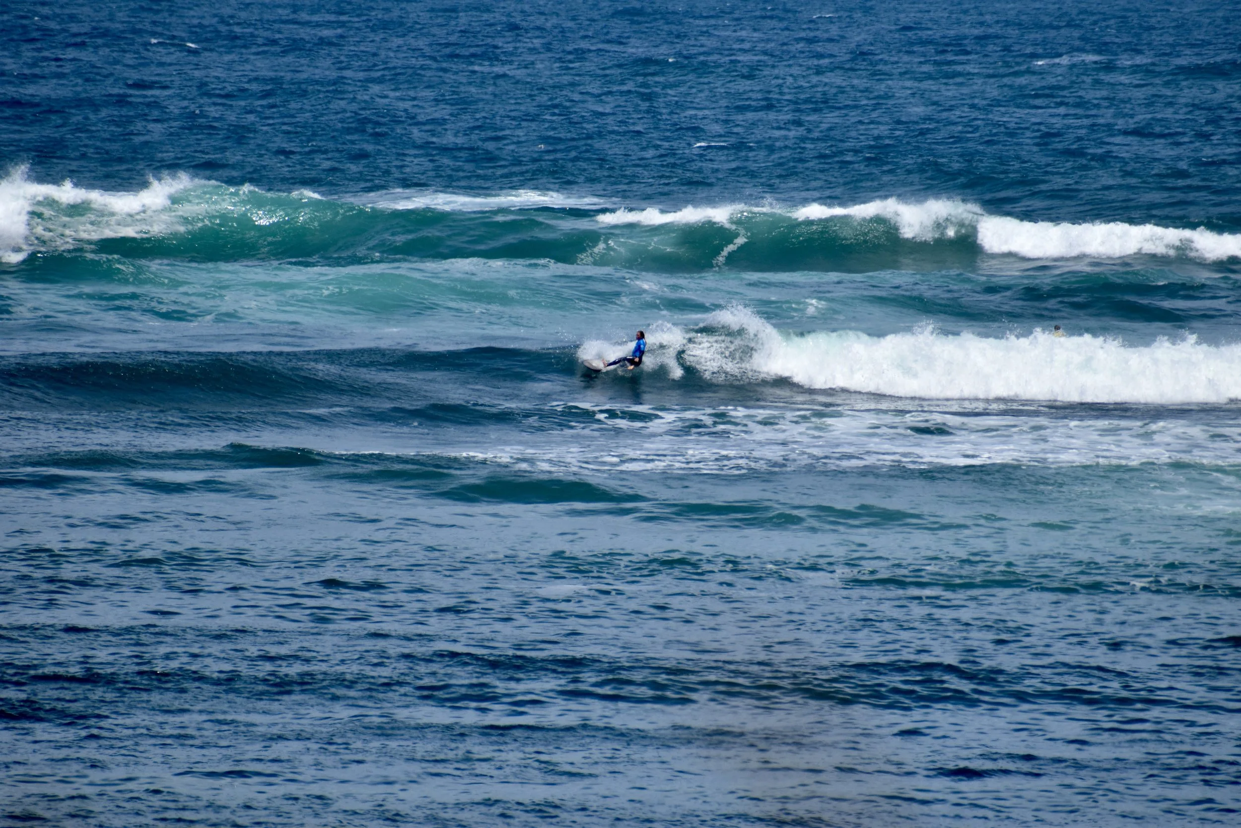 DSC_0482.JPG