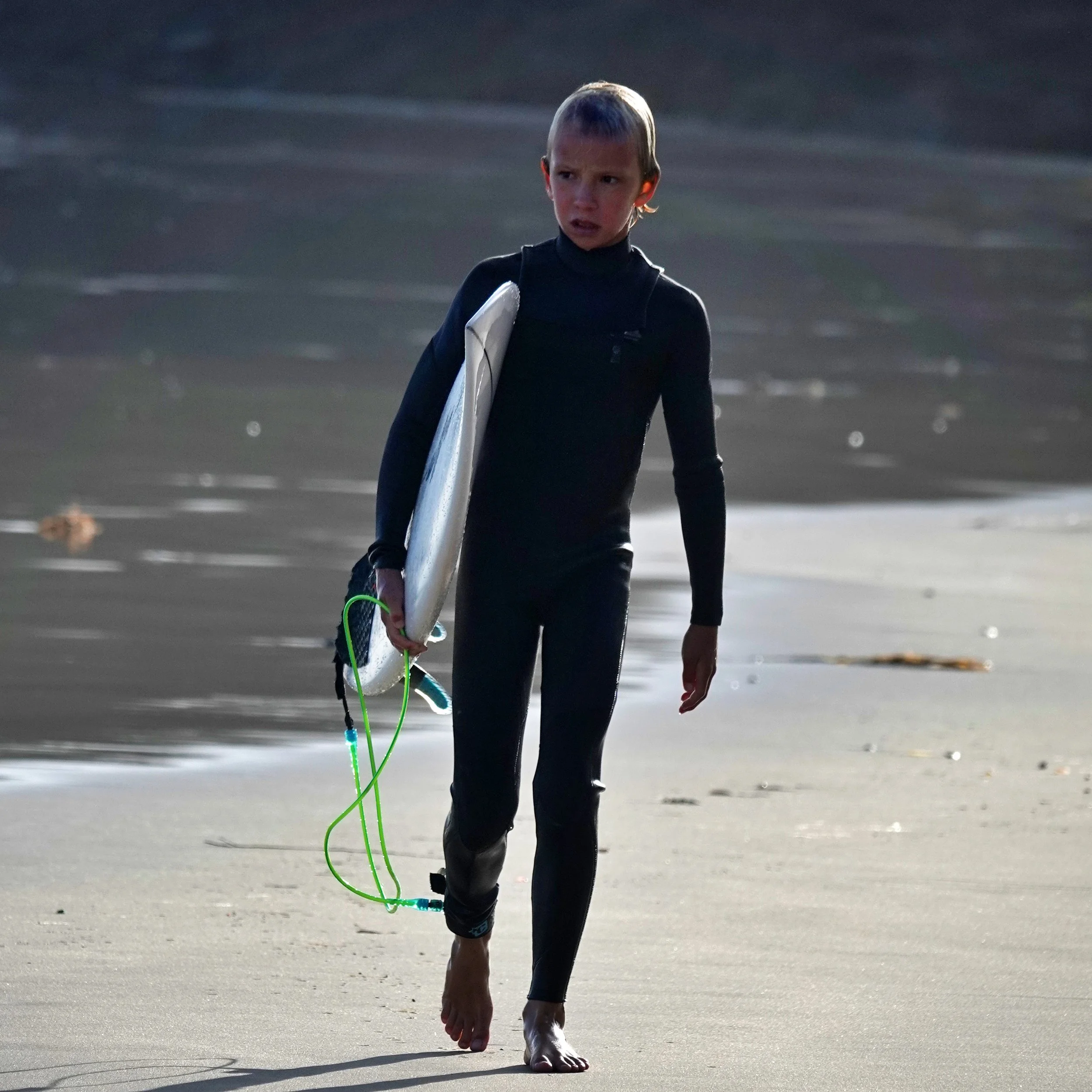 max walking back 1x1.JPG