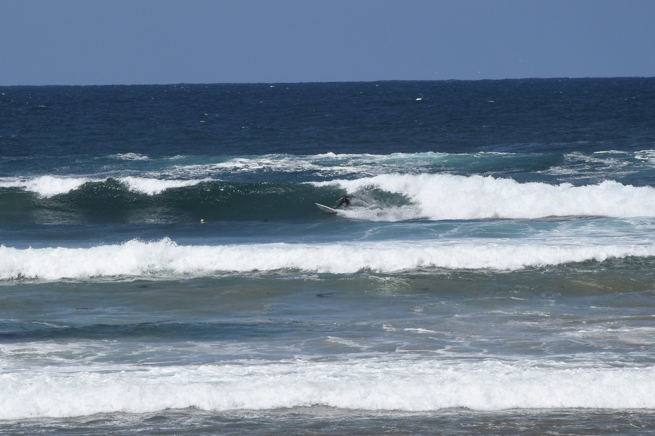 DSC_0132.JPG