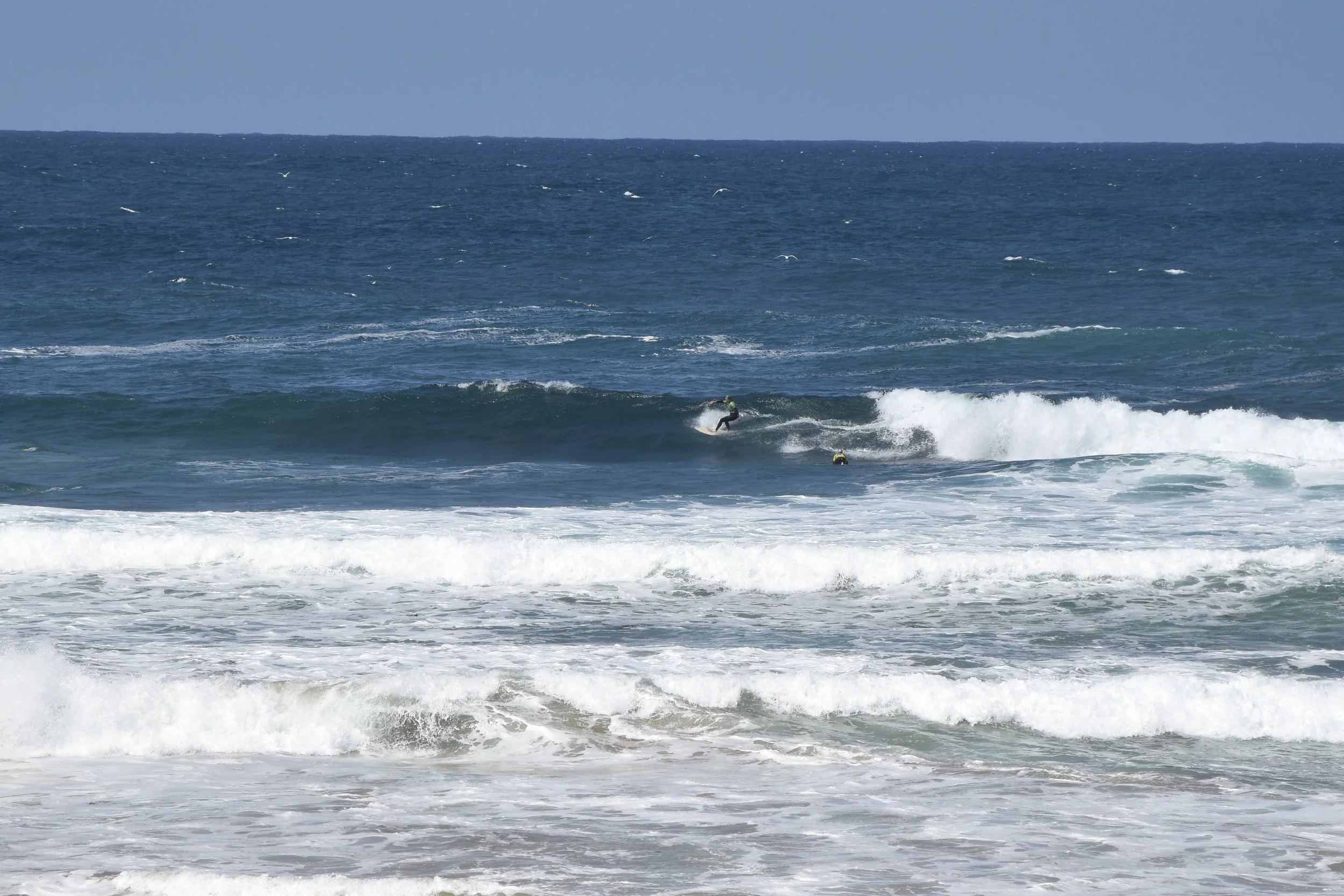 DSC_0125.JPG