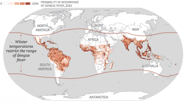 As the world warms, the zones of cool temperatures keeping certain mosquitoes in check will move north. Rising temperatures will usher in tropical diseases, such as dengue fever, or “break-bone disease,” which is transmitted primarily by Aedes aegypti mosquitoes infected with the virus. Sources: Nature, Centers for Disease Control and Prevention, World Health Organization