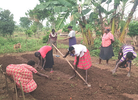  Preparation of the gardens for planting vegetables by the young women as part of the DREAMS program in Gutcati village, Oyam District.  