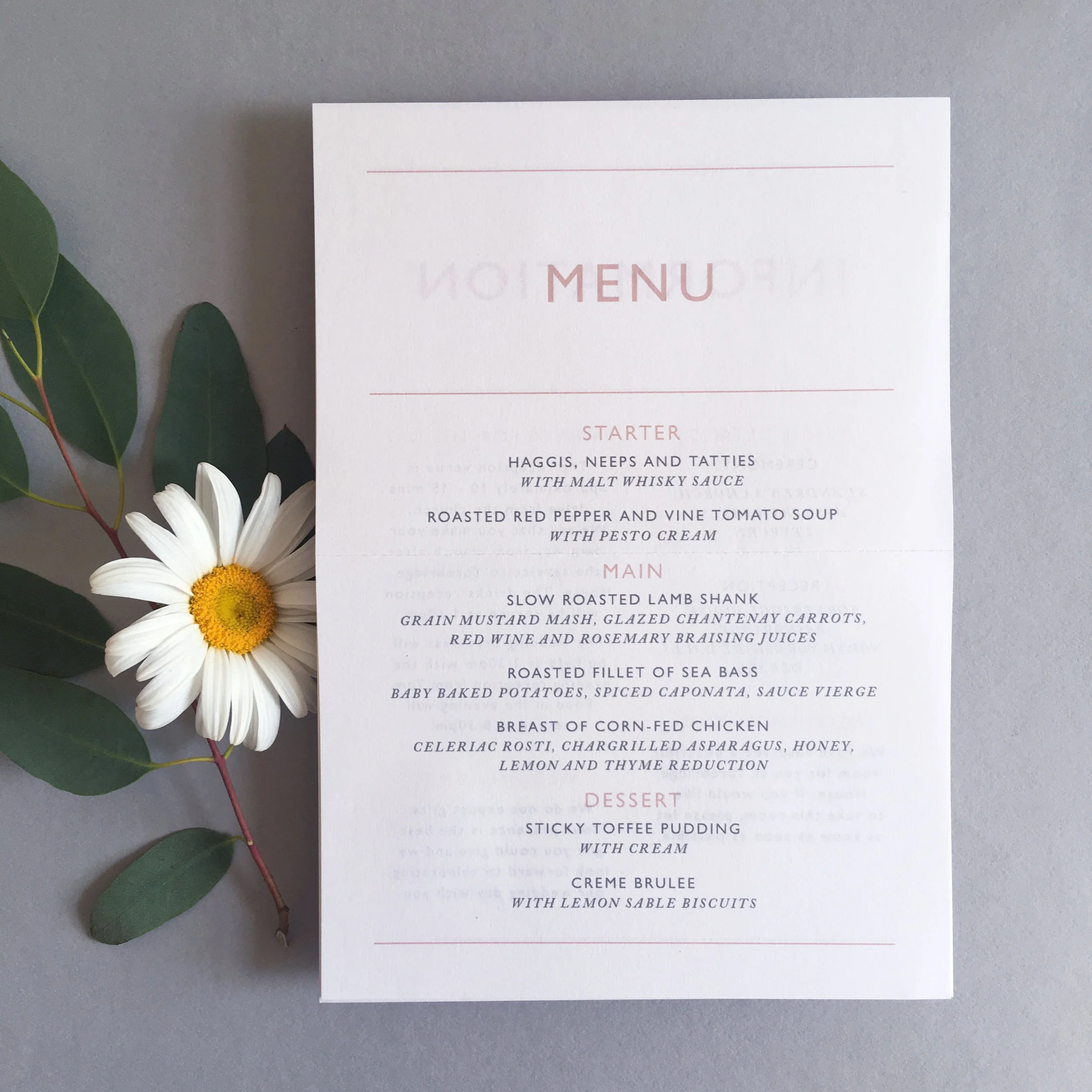 modern_type_menu_sheet.jpg