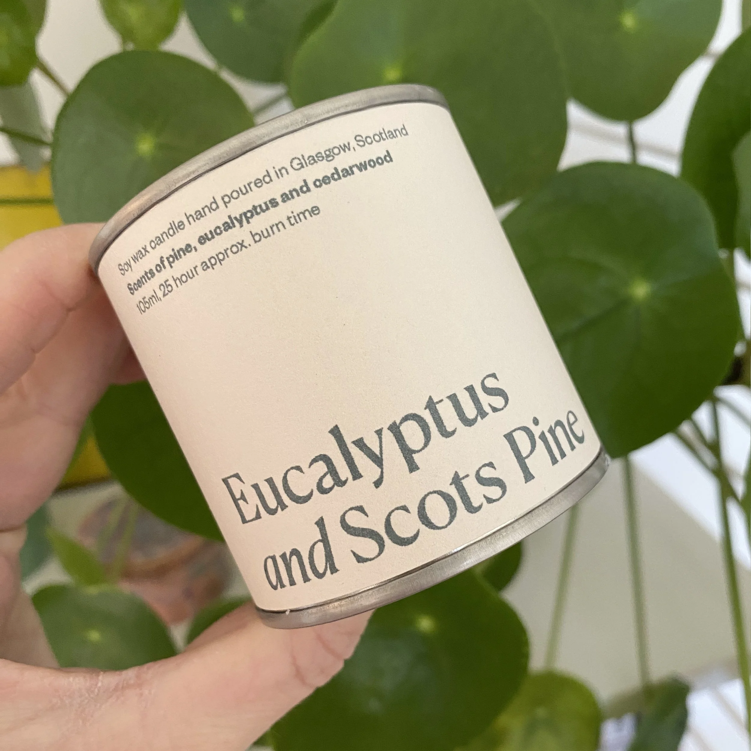 euc_scots_pine.jpg