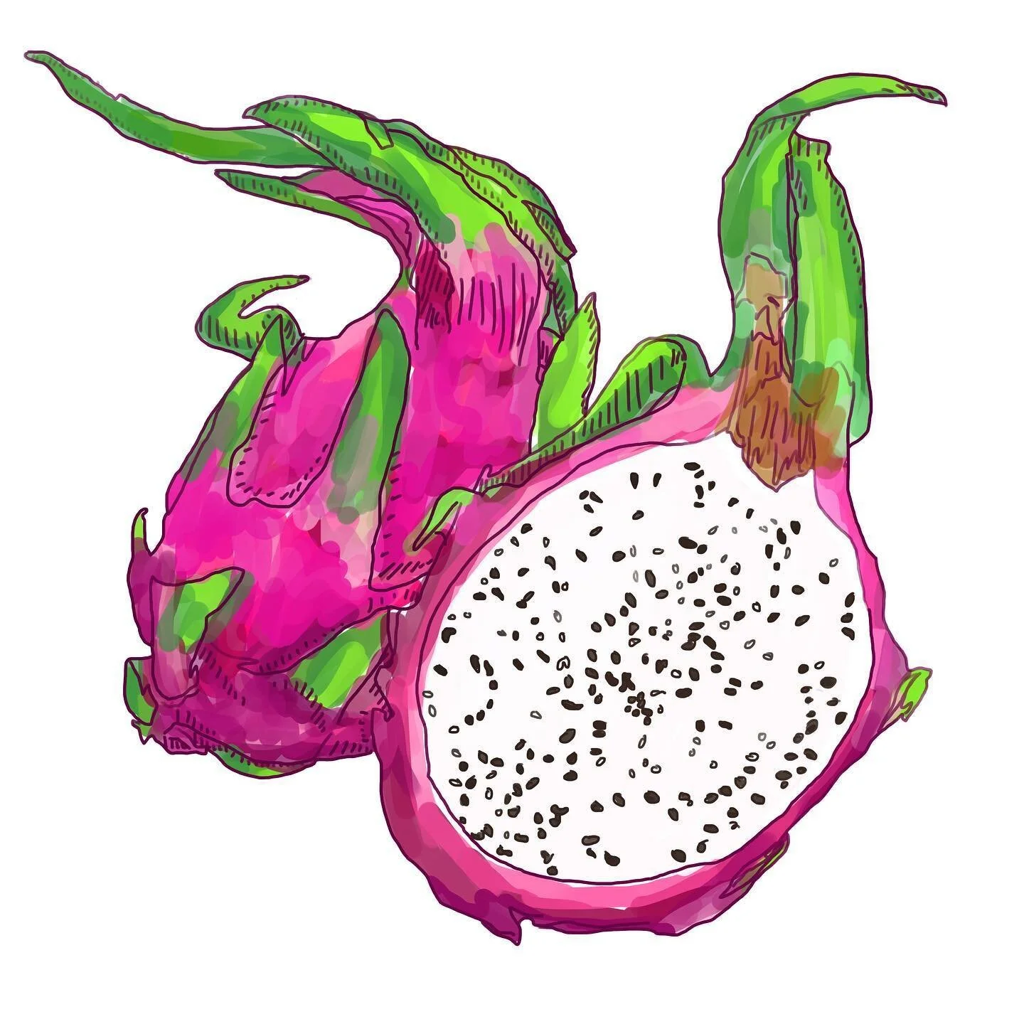 ✨🌴Tropical vibes 🌴✨Dragon fruit is one of my favourite fruits of all time 🐉it&rsquo;s probably not super well known outside of tropical places like Mexico, California, and parts of South East Asia, but trust me it&rsquo;s a real treat. This will p