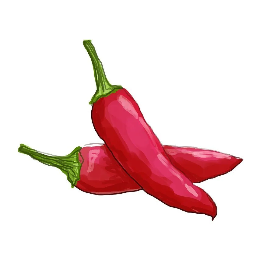 Spicy🌶✨another series of illustrations I did for ingredients for a recipe 🌶 Chili, lime and cilantro 🌱 (2019) will be sharing more illustrations from past projects ✌🏽