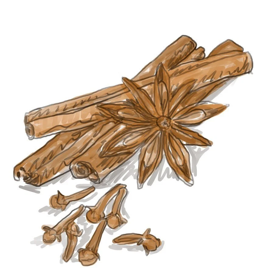 Even in #quarantine I still need some caffeine on #monday 😅Series of illustrations of ingredients for Spiced Coffee with Milk ☕️🥛(2019) I&rsquo;m gonna put up some of the illustration work I&rsquo;ve done for past projects so stay tuned for more✨