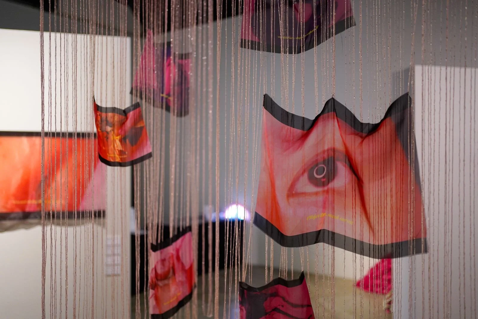 0aa09c32-55cb-429e-a896-f0159cb8b66b (1).jpg