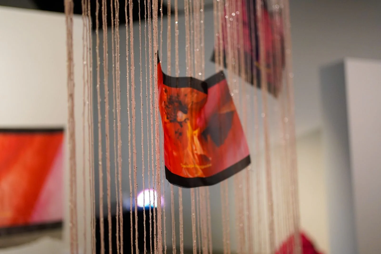 65d91a4a-fc3d-4e6a-a6a1-ba473d4a4c25 (1).jpg