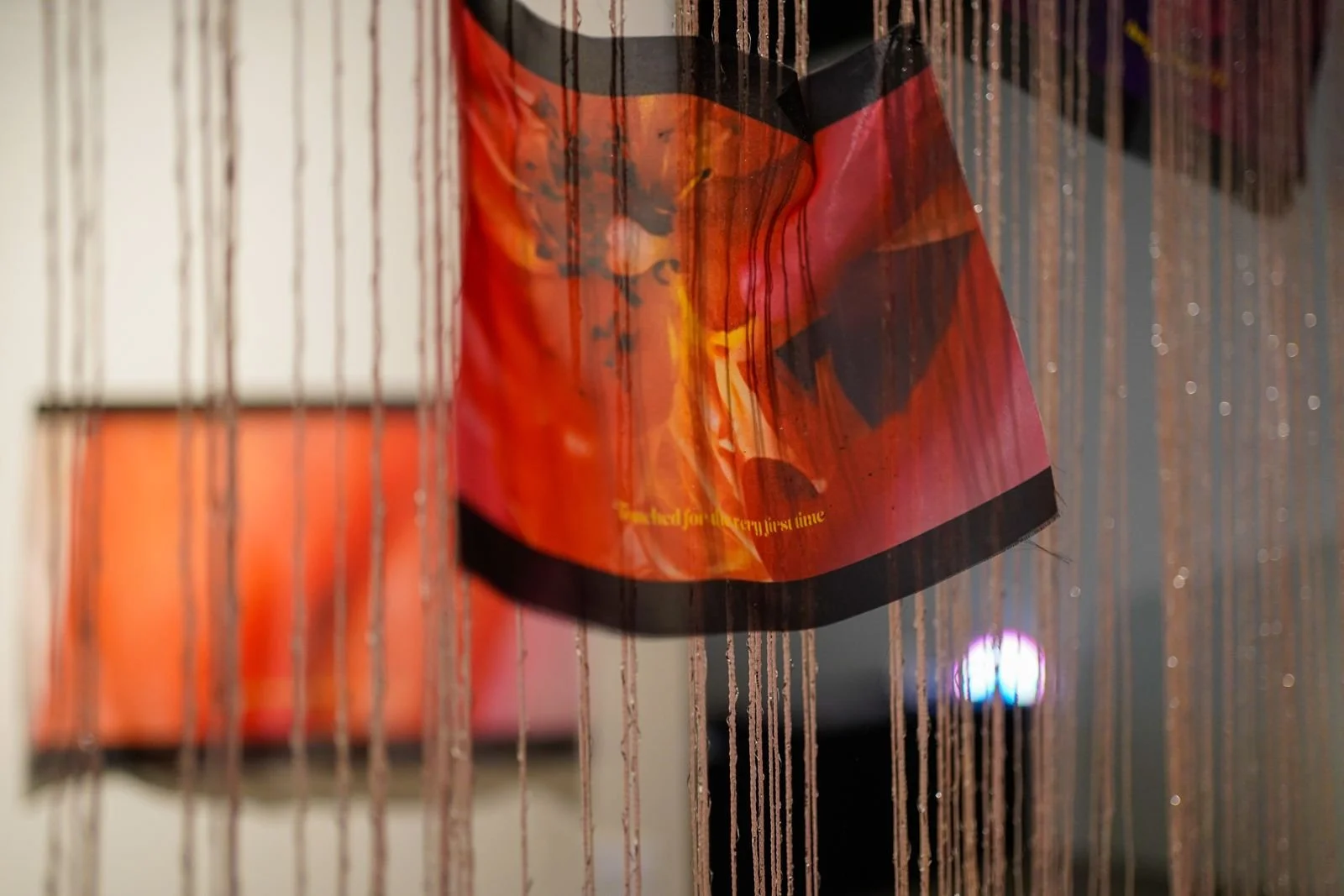 081905ad-bc9b-45f7-84f9-fb43470e2a45 (1).jpg