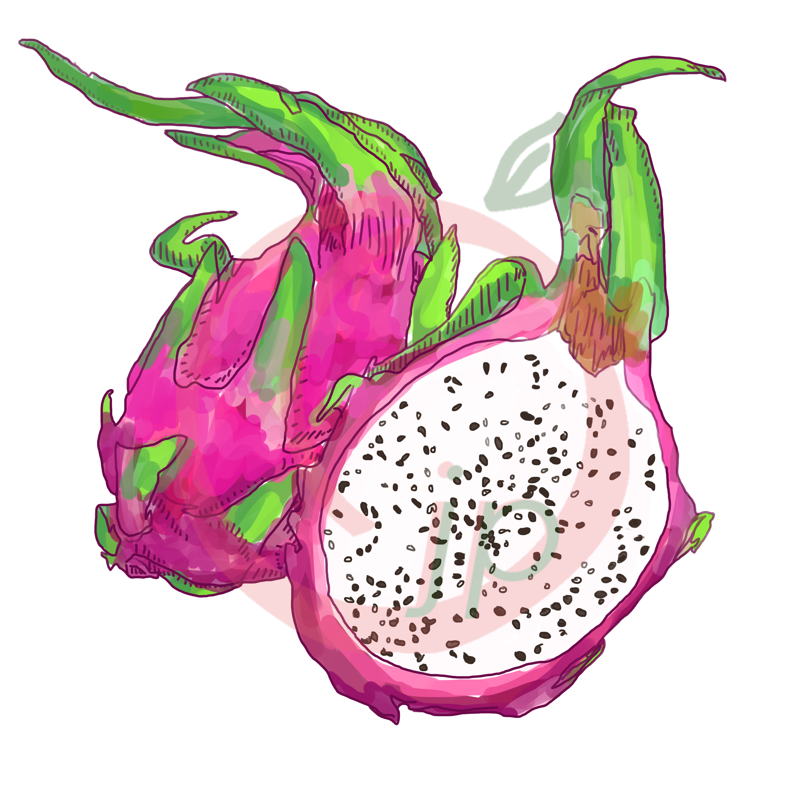 dragonfruit-watermark.png