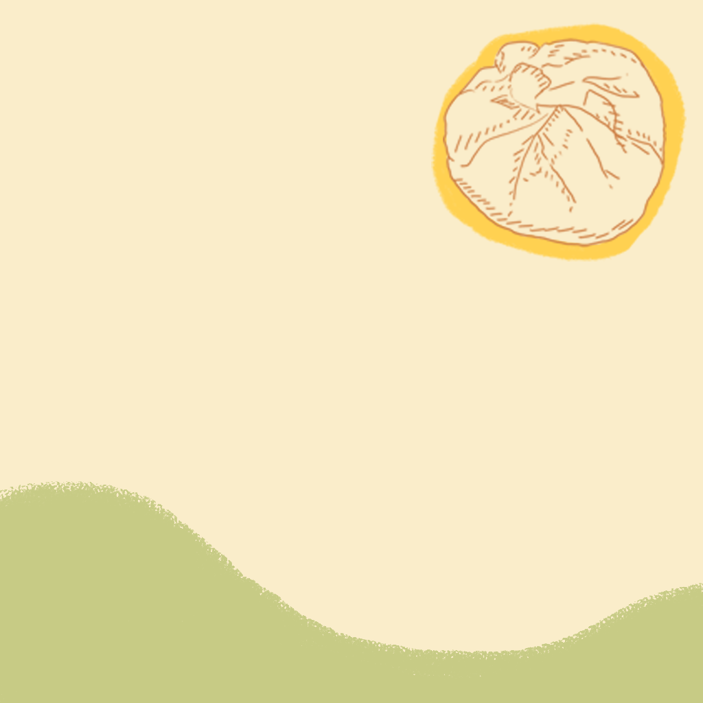 1bao.png