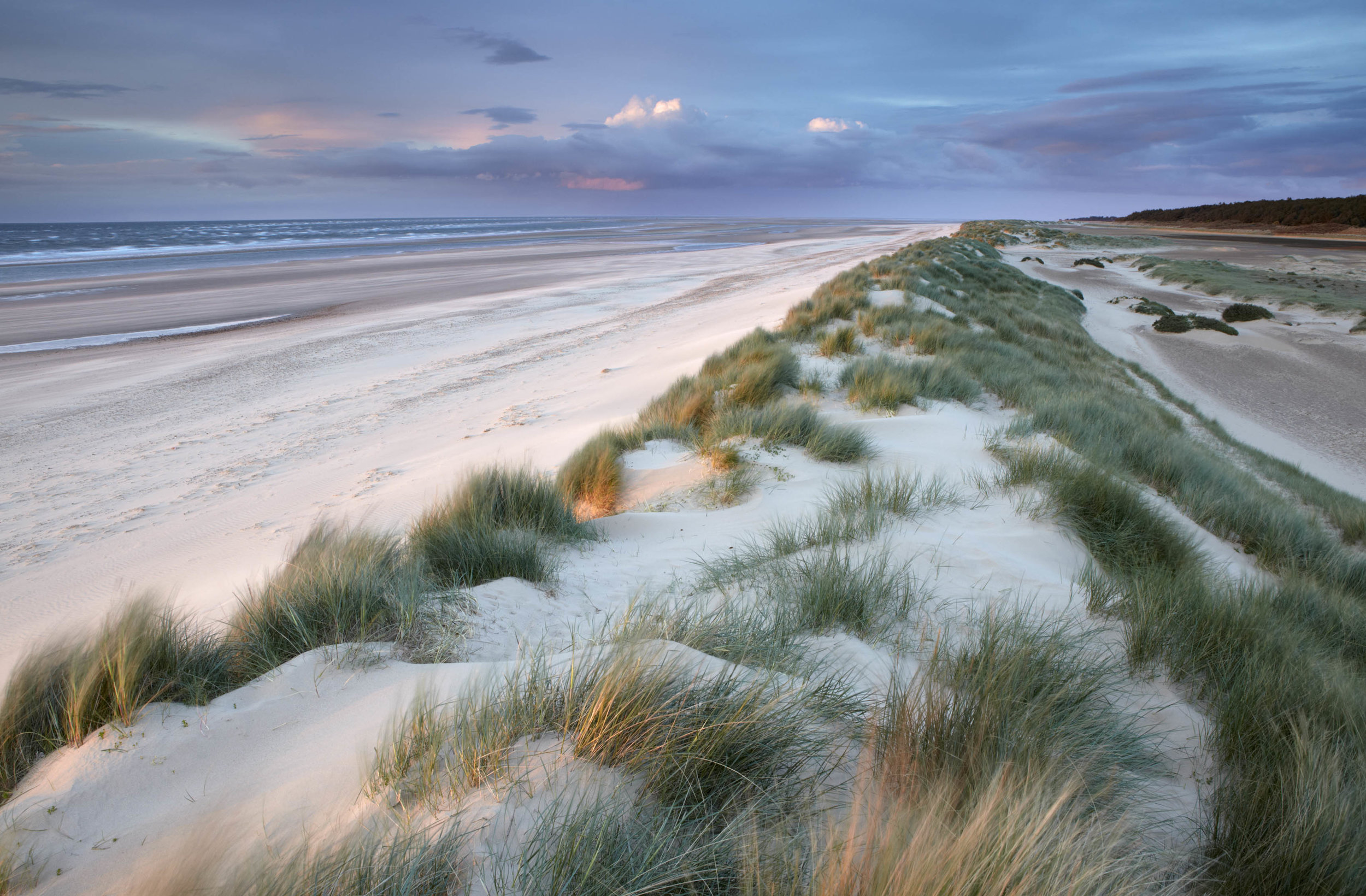 holkham image for wolterton.jpg