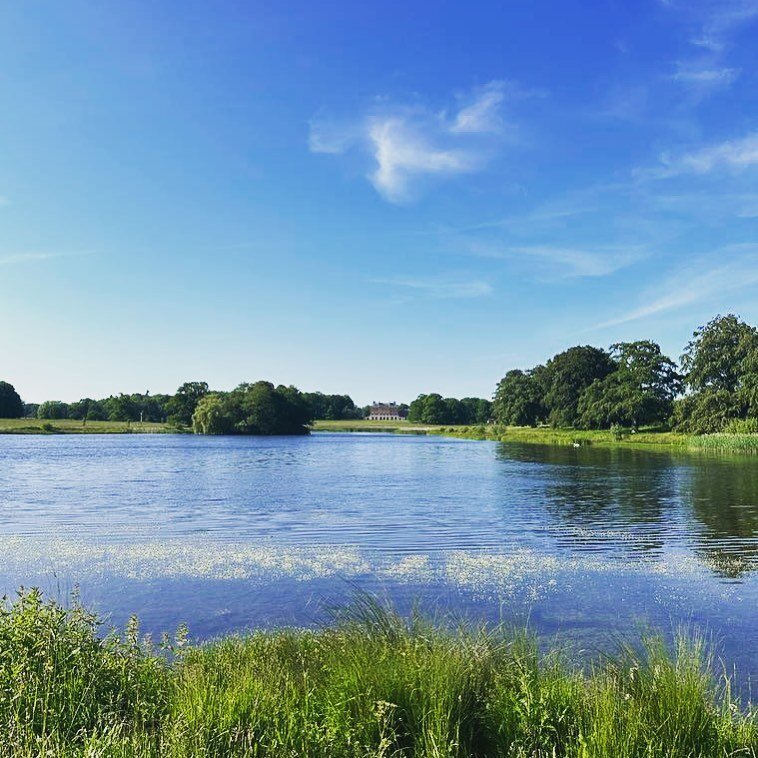 The view across the lake to the hall is always magnificent. 

#holidayhome #Exclusivestays #holidaycottage #northnorfolk #Woltertonpark #uktravel #countryretreat #summer #selfcatering #septemberstay