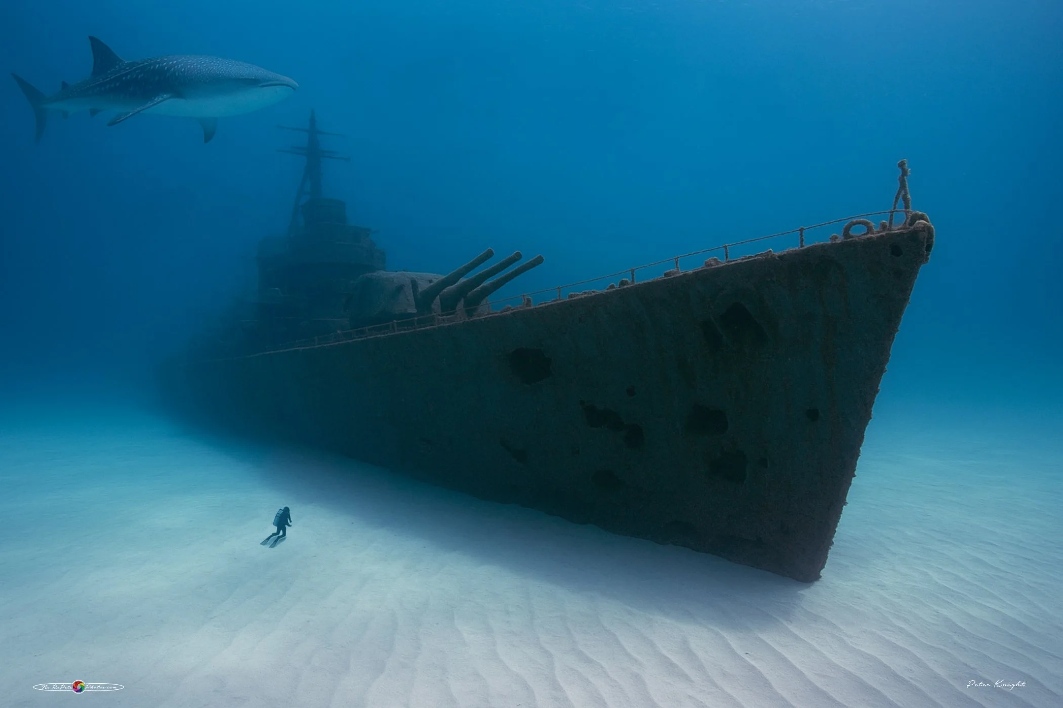 Battleship 1.jpg