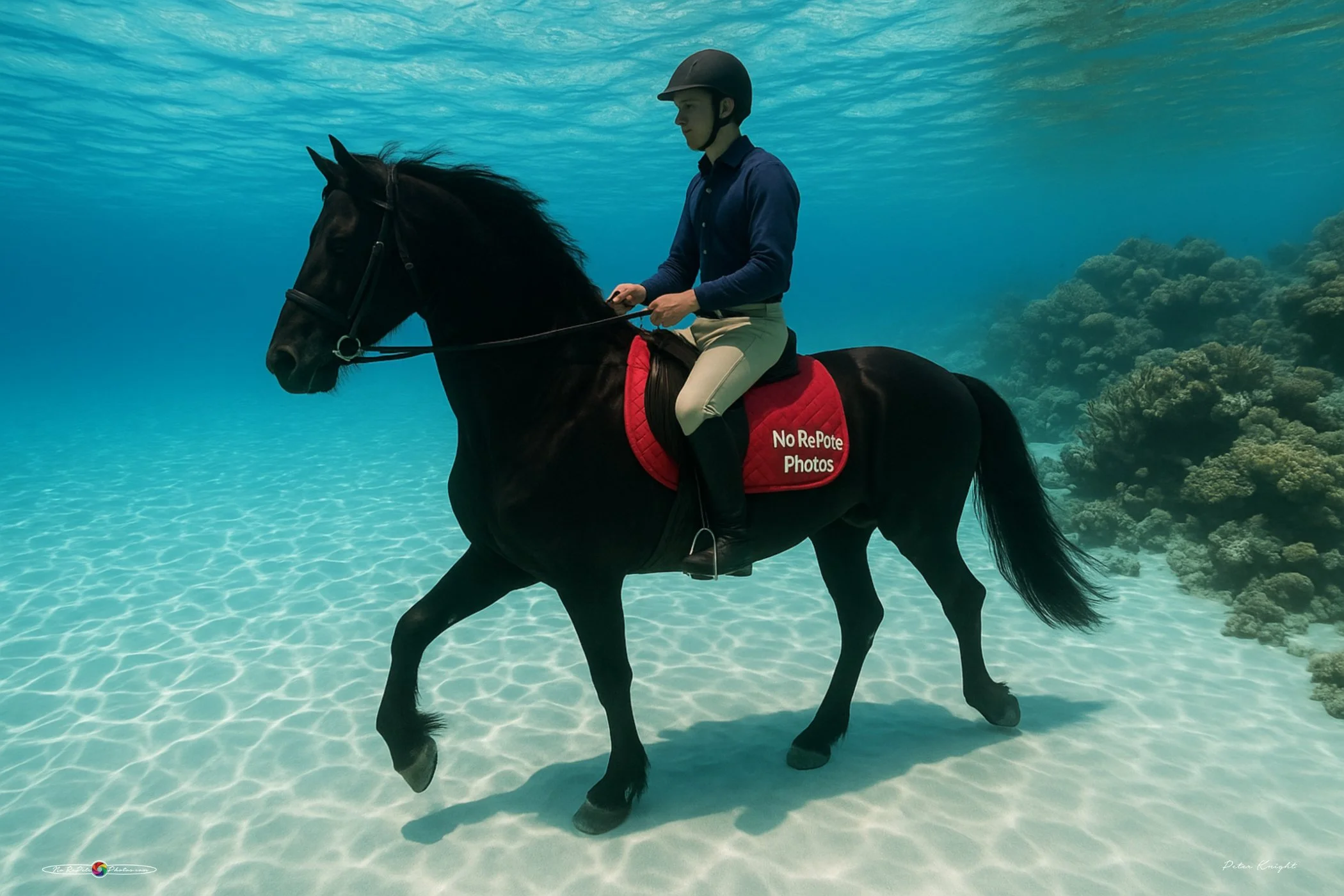 Underwater Horse.jpg