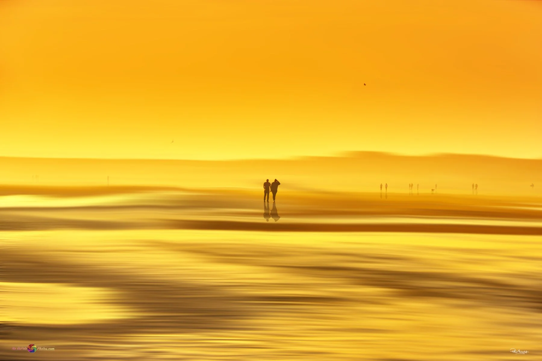 Camber sands 1b.jpg