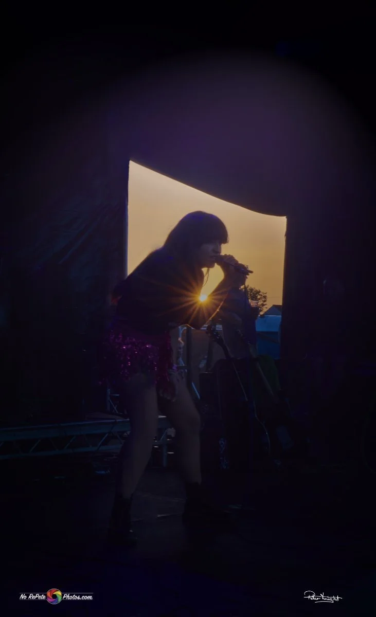 Singer 1.jpg