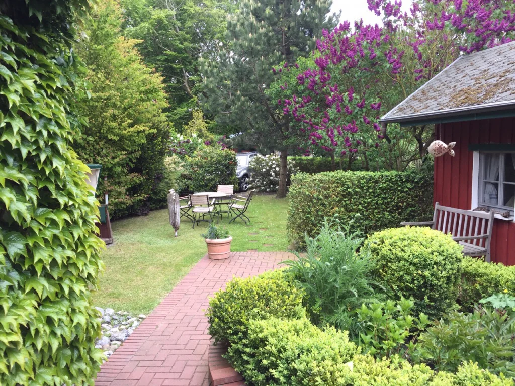 Blick vom Haus in den Garten