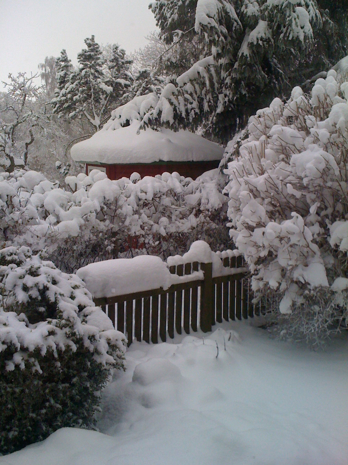 Der Garten im tiefen Winter