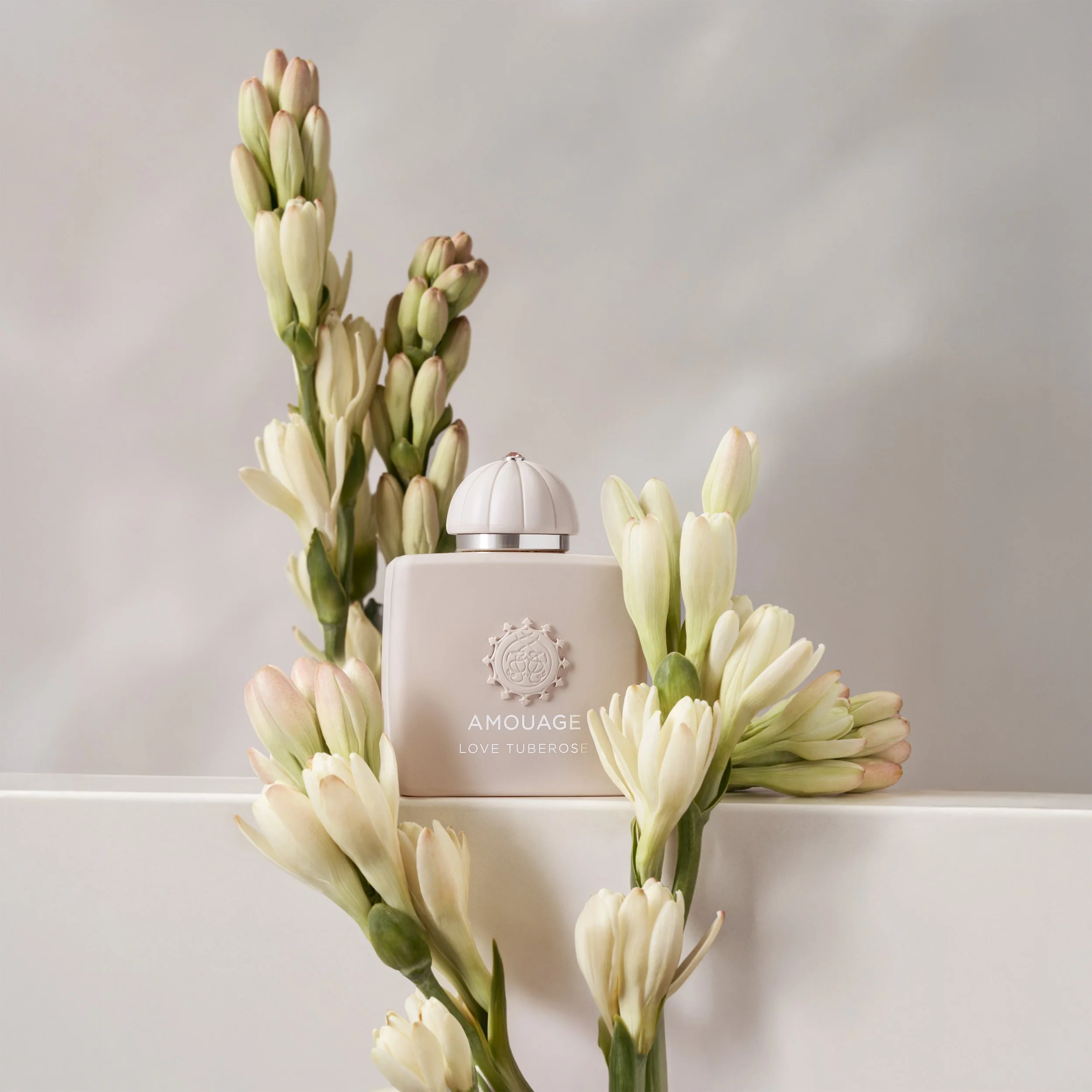  Photography  @lara_and_the_art  Art Direction, Setup &amp; Retouch  @alexhaidamac  