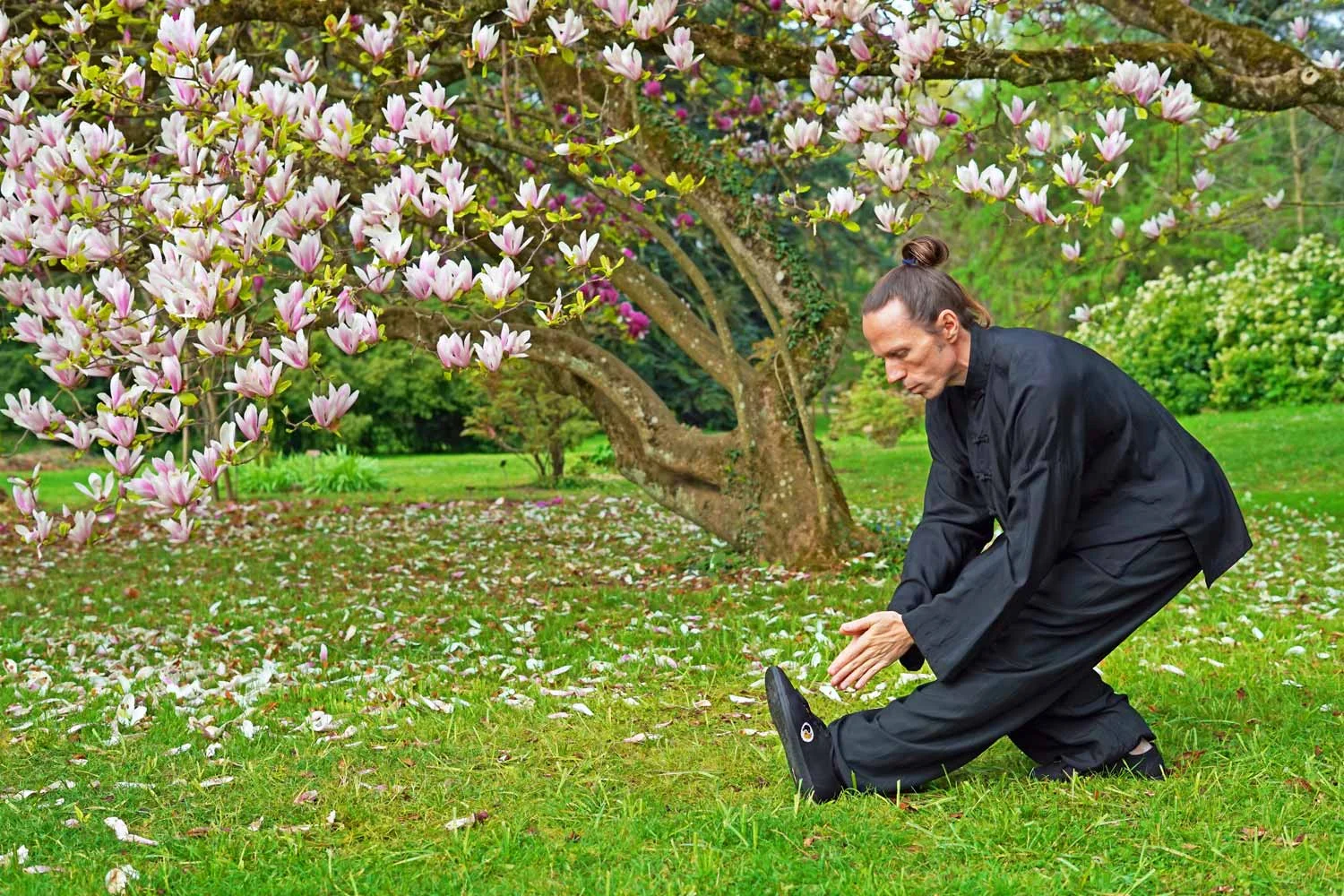 Art-Eternel-Qi-Gong.jpg