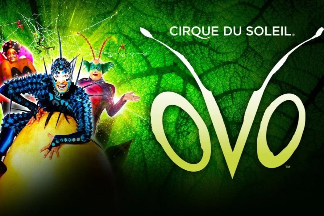 Cirque Du Soleil OVO