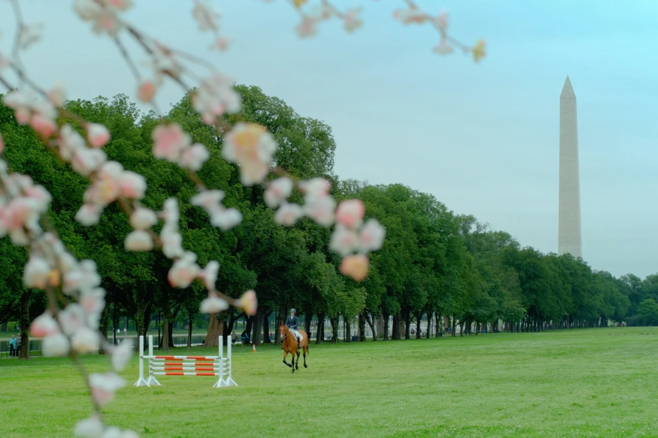 Washington International Horse Show