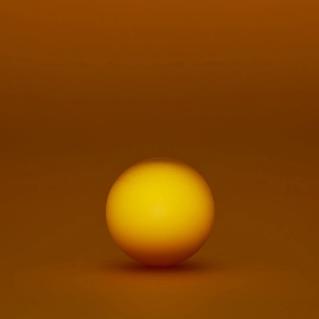 2024-One Light_Yellow WEB.jpg