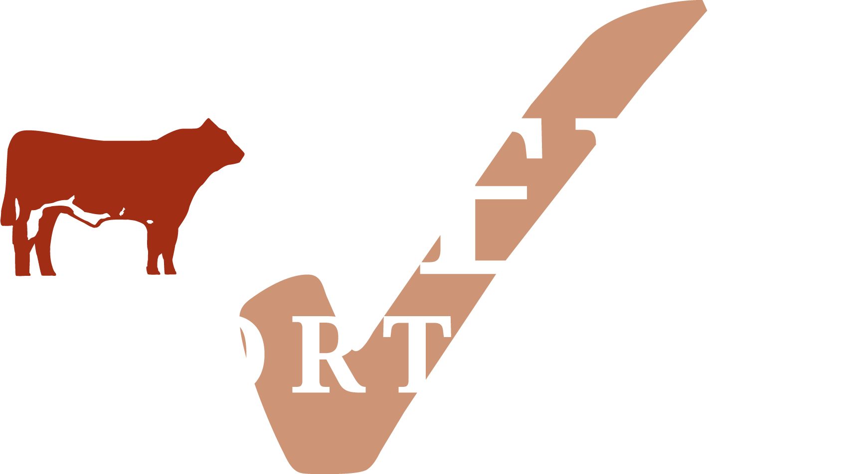 BSH Master Logo 2019 (white).png