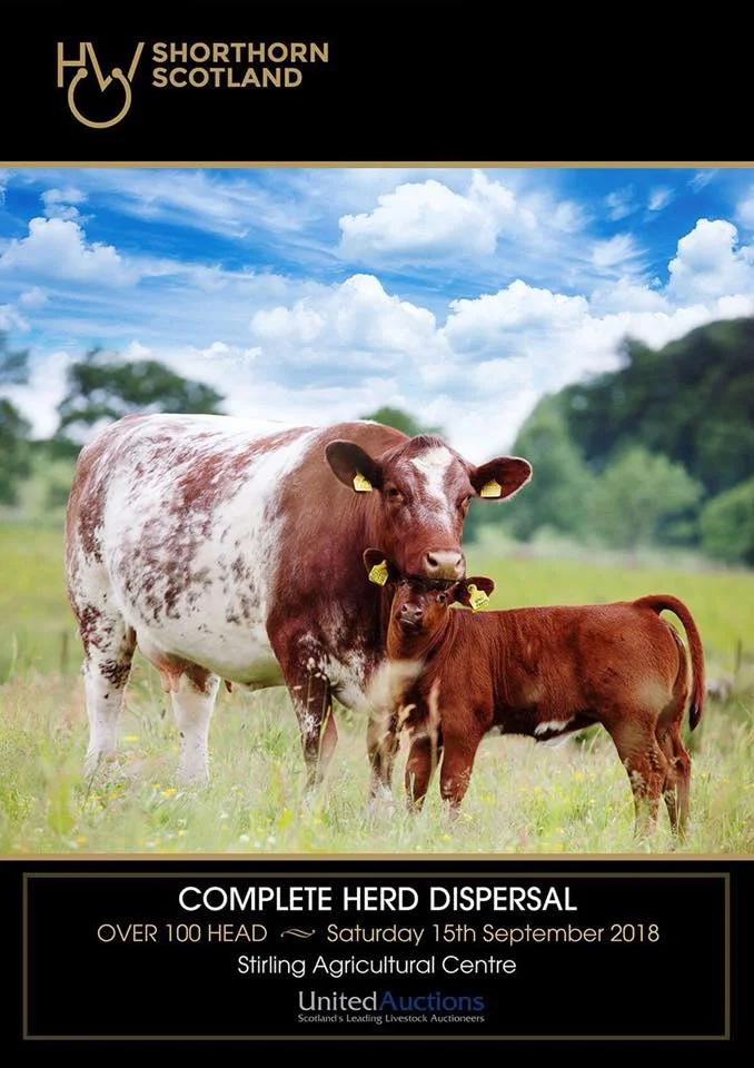 HighlandWagu2018.jpg