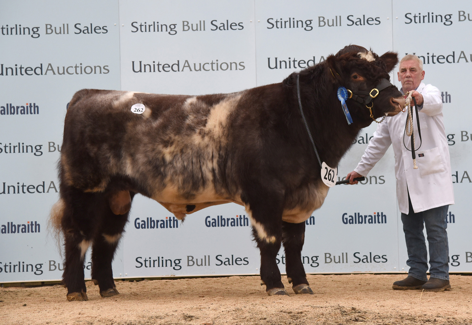 Stirling Bull Sales - February