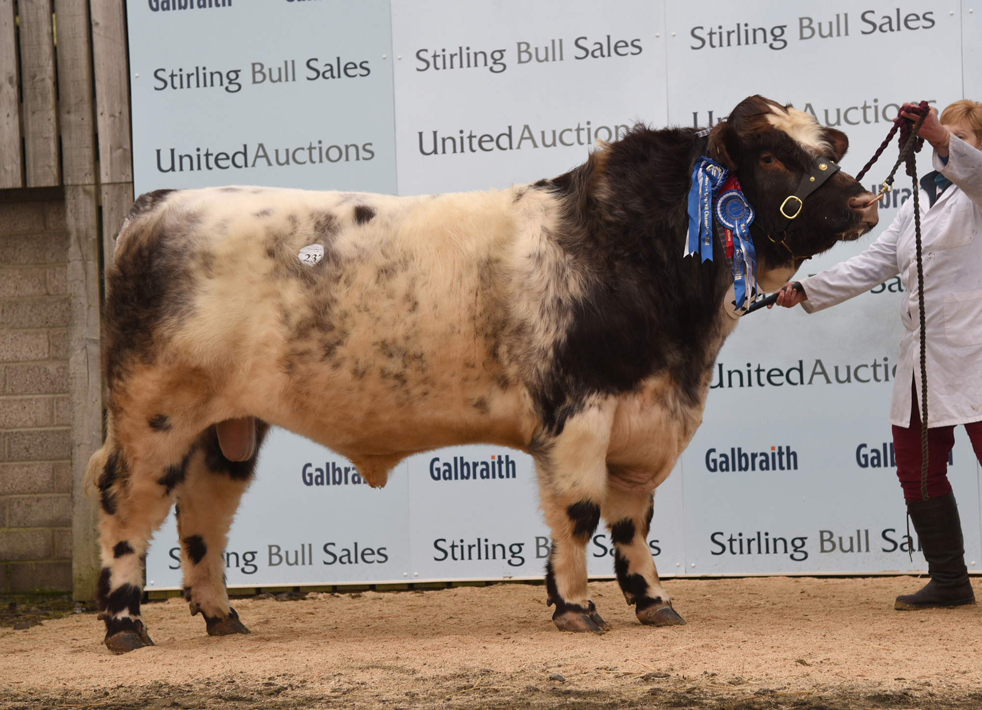 Stirling Bull Sales - February