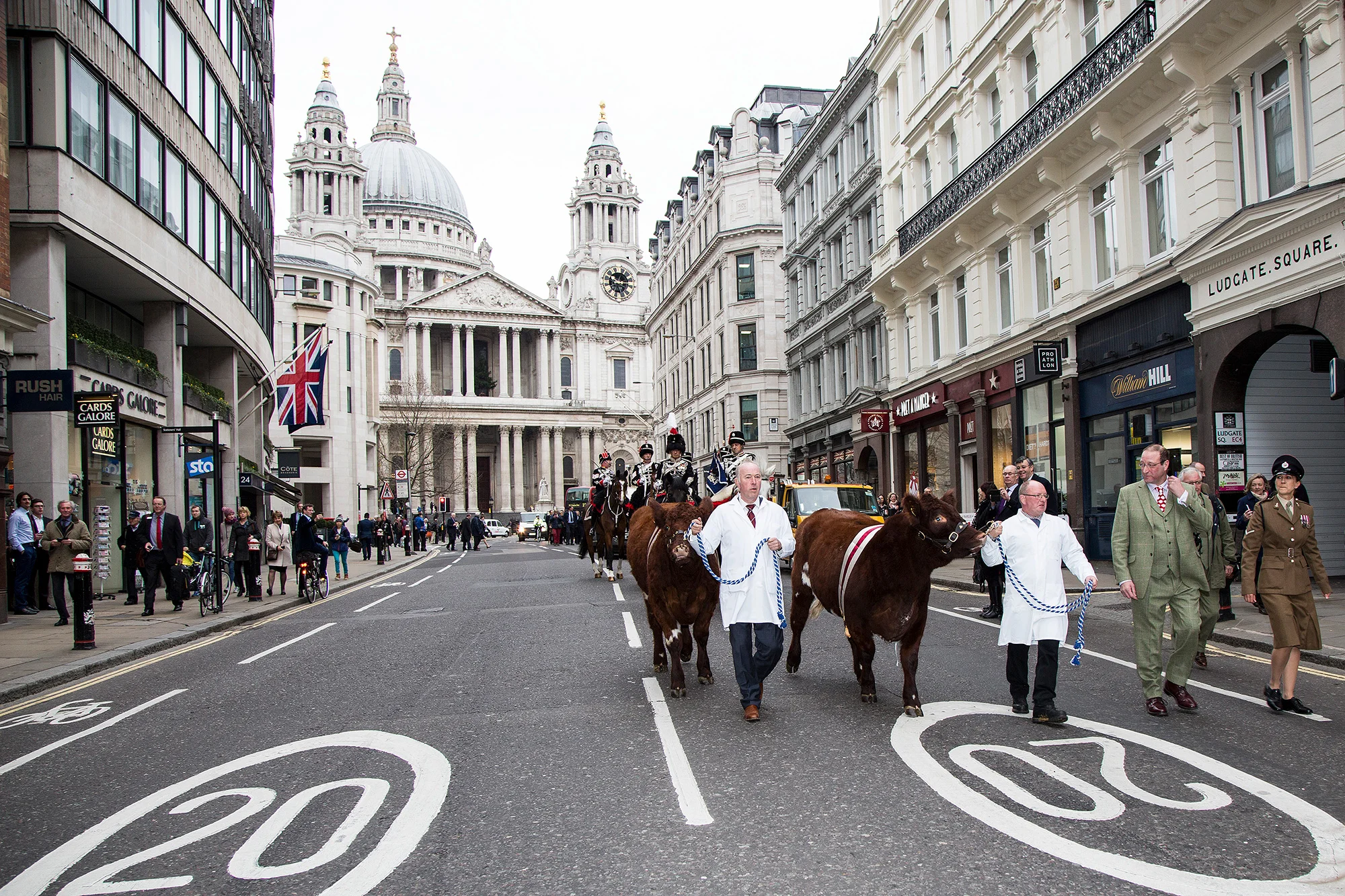 Flashback to 2015, Beef Shorthorn leads the Celebration of British Livestock
