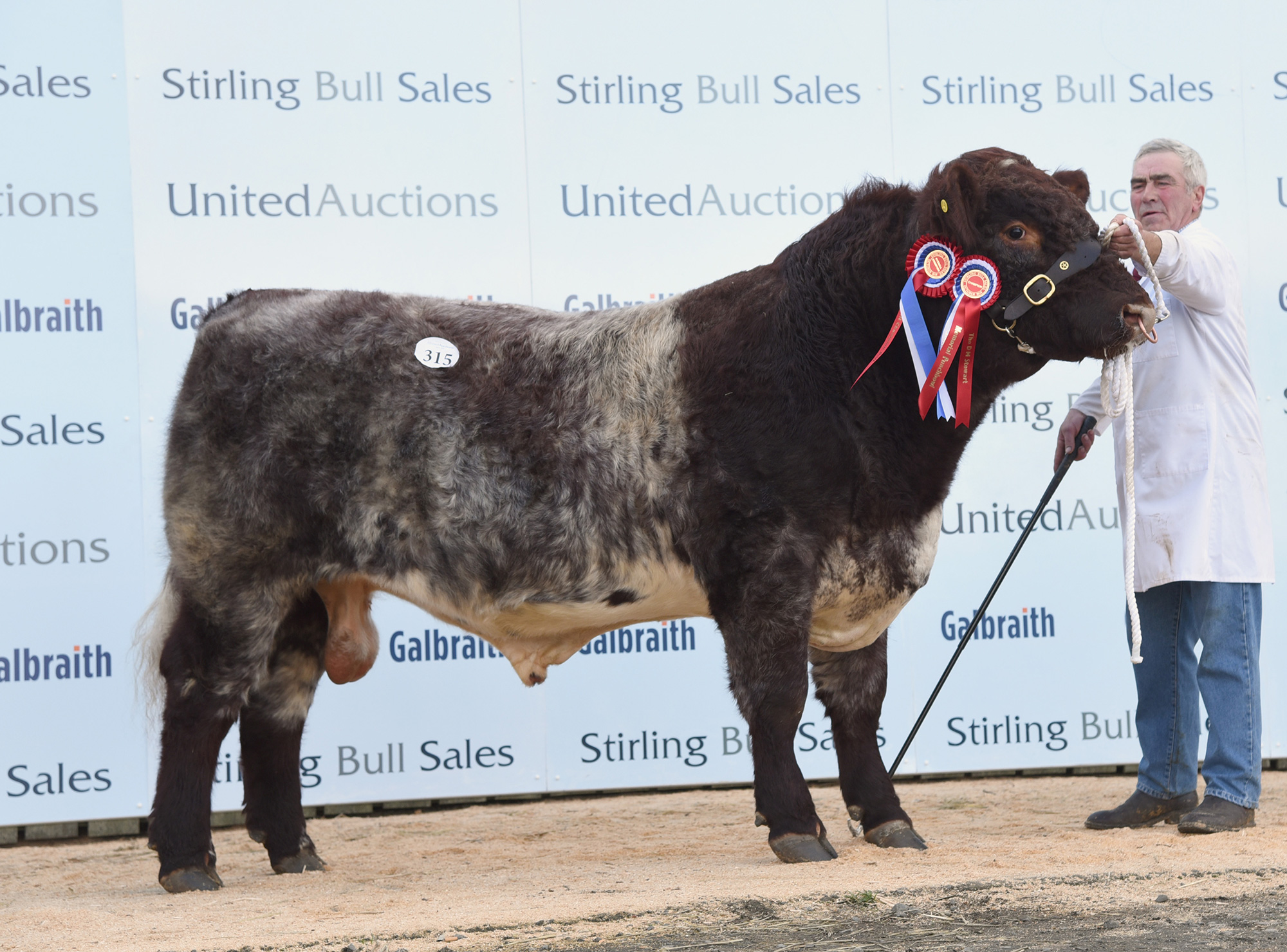Stirling Bull Sale - October